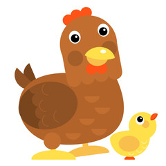 Cartoon chicken hen standing looking illustration