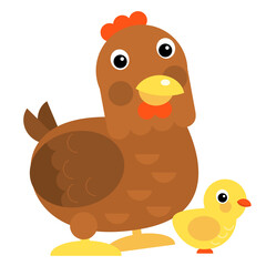 Cartoon chicken hen standing looking illustration