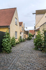Fototapeta na wymiar lane with traditional houses and lush Hollyock plants on cobbled pavement, Dragor, Denmark