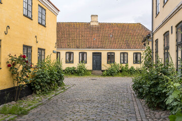 Fototapeta na wymiar lush vegetation of Hollyock plants on cobbled pavement at crossroads with traditional houses, Dragor, Denmark