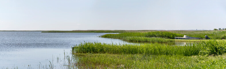 lush vegetation on green shore of Koge bay, near Solrod, Denmark