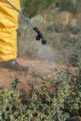 Selective focus shot of the moment the plants are sprayed.