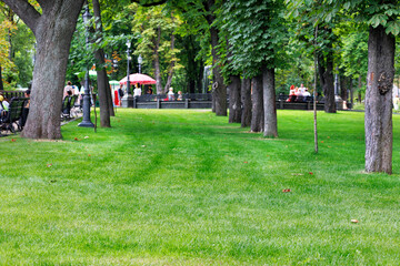 Green manicured lawn on a blurred background of a city park and people resting.