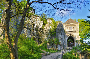 Fototapeta na wymiar The Ruins of Ojcow Castle. Ojcow, Lesser Poland Voivodeship, Poland