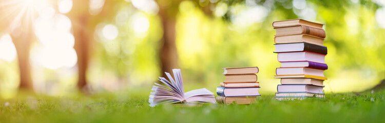 Stacks of the different books are on the green grass in the park