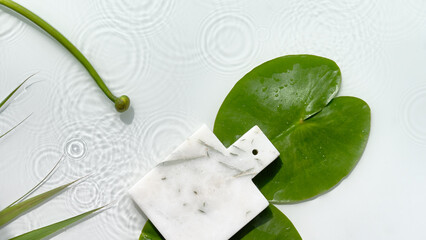 Water lily leaves and buds on off white background. Mockup with place for product on marble board. Natural sunlight, long shadows. Flat lay with splashes of water.