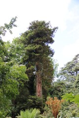 Beautiful Nature of Cornwall – England

