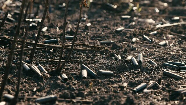 a scorched field after a battle with a shell from a machine gun. field with small sprouts of plants. War concept