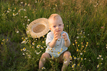 A little blond boy in a straw hat is sitting in the grass in a chamomile field. The concept of walking in nature, freedom and an environmentally friendly lifestyle
