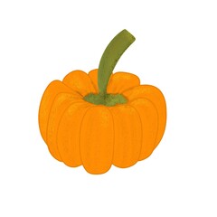 isolated pumpkin handdrawn 