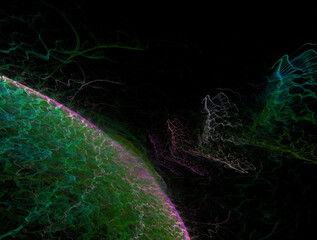 Imaginatory fractal abstract background Image