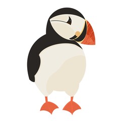 isolated cartoon monk bird arctic puffin 