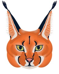 isolated handdrawn cartoon snow caracal lynx, cat lineart wildcat 