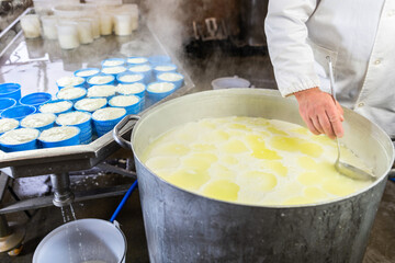 Cheesemaker pours the ricotta into plastic forms - process of making cheese in the workshop -...