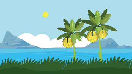 banana palms on the background of the ocean