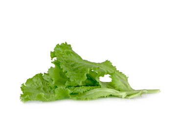 Lettuce leaves isolated on a white background