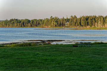 landscape with lake and forest