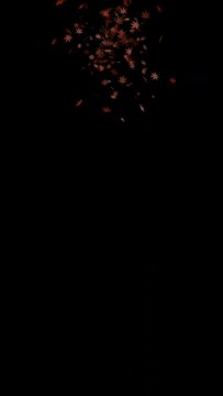 Falling red maple leaves in black background, Autumn or fall, Vertical video for smartphone footage, 4K animation	
