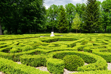 Trimmed boxwood bushes in an old garden	
