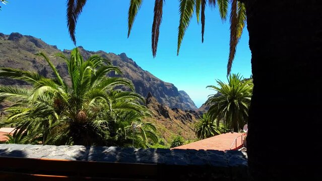 Beautiful view of Masca valley from the village with palm trees in Tenerife, Canary Islands, Spain