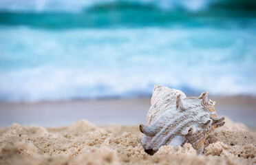 Fototapeta na wymiar Big sea shell on the sand on the beach with blur big sea wave in background, close up