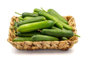 Ripe cucumber. Fresh cucumbers in basket isolated on white background. Organic food. close up