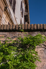 Bottom-up view to an ancient building wall of bricks partially overgrown with plants and with blue sky in background.