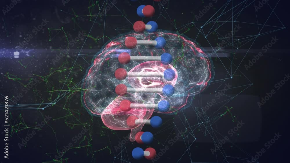 Aufkleber animation of dna structure, human brain rotating on graphic interface with network connecting dots