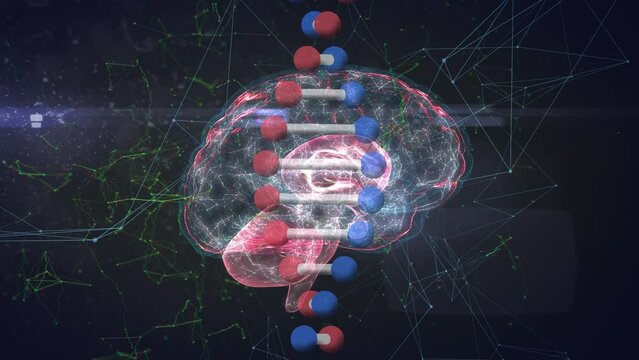 Animation of dna structure, human brain rotating on graphic interface with network connecting dots