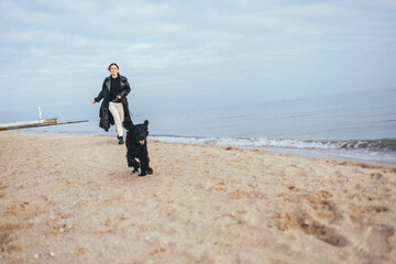 Cheerful active dog runs along sandy seashore