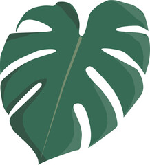 Green monstera leaf flat design sticker. Icon illustration isolated on white background  © Alina