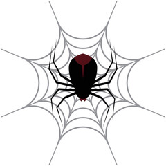 Spider perched on a cobweb. On a white background. Vector drawing.