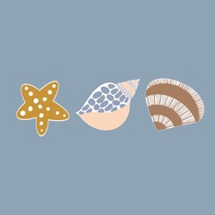 Shells on the beach. Set of careoon Seashells. Background
