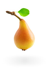 The fruit of a sweet and ripe pear with a stalk and a green leaf isolated on a white background. Fresh and healthy organic bio product