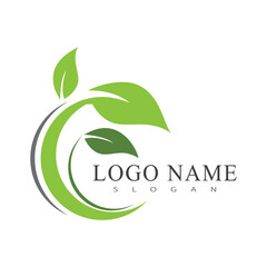 Green leaf illustration nature logo design