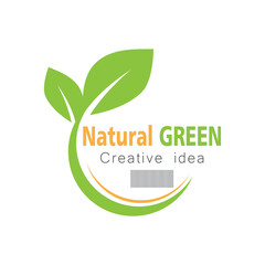 Green leaf illustration nature logo design