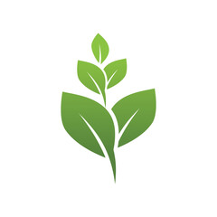 Green leaf illustration nature logo design