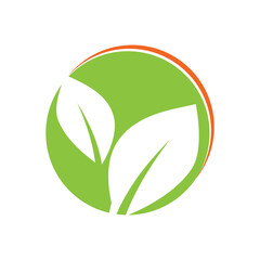 Green leaf illustration nature logo design