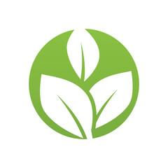 Green leaf illustration nature logo design