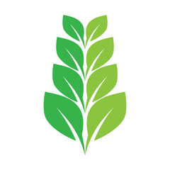 Fototapeta premium Green leaf illustration nature logo design