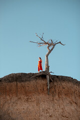 Lonely girl on a cliff near a dying tree