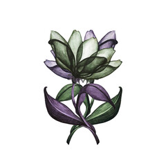 Watercolor dark violet, purple, green fantasy flower for weddings, birthdays, Halloween, invitations, cards, patterns, fabric. Moonglow color. Trendy illustration. Elements are isolated on a white BG