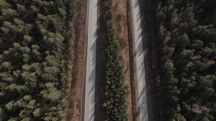 Highway road between deep forest in Ural