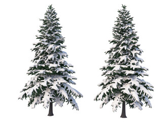  Trees and mountains in winter on a white background with clipping paths.