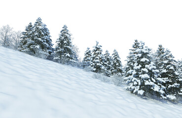 Obraz premium Trees and mountains in winter on a white background with clipping paths.
