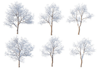 Trees and mountains in winter on a white background with clipping paths.