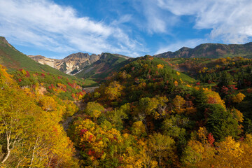 上富良野町　十勝岳連峰