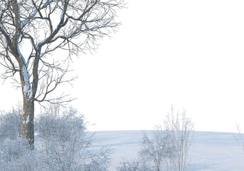 Trees and mountains in winter on a white background with clipping paths.