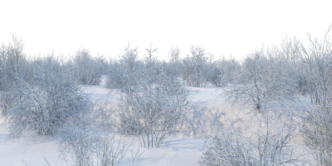 Trees and mountains in winter on a white background with clipping paths.