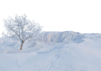 Trees and mountains in winter on a white background with clipping paths.
